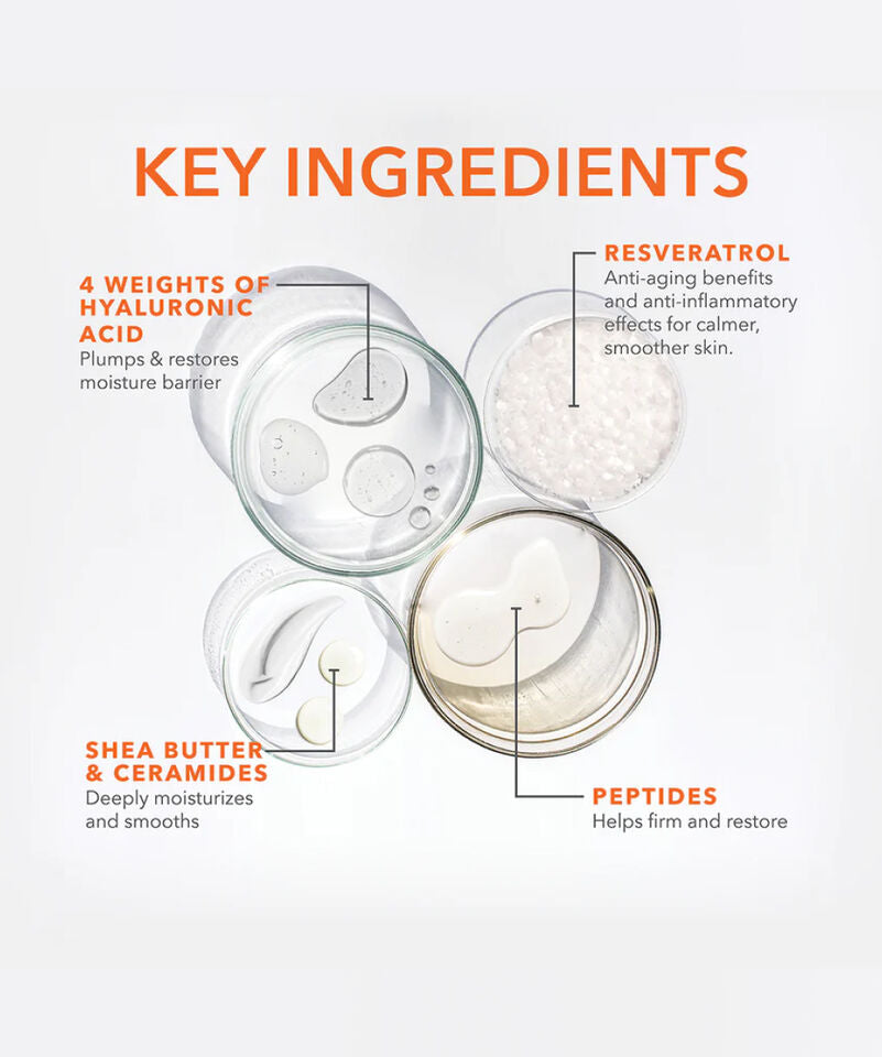 Dr Dennis Gross Derminfusions Blur + Repair Cream