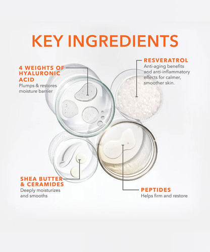 Dr Dennis Gross Derminfusions Blur + Repair Cream