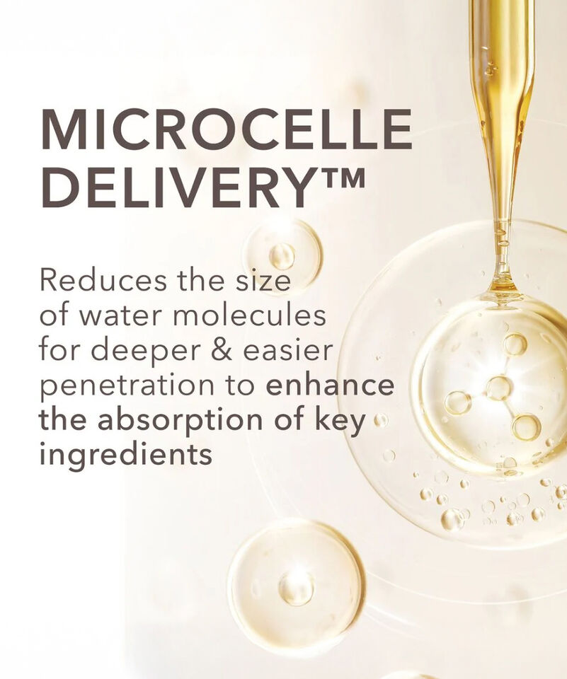 Dr Dennis Gross DermInfusions Fill + Repair Serum