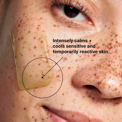 SkinCeuticals Phyto Corrective Mask