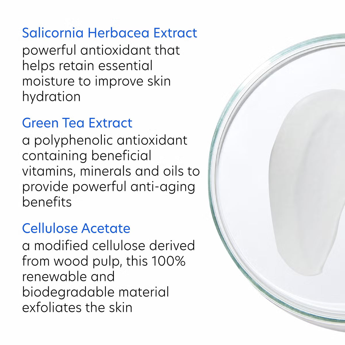 PCA Skin Daily Exfoliant