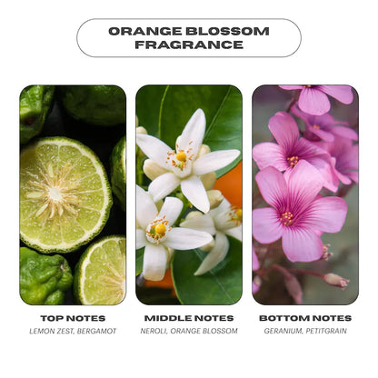 OUI the People Hydrating Body Gloss